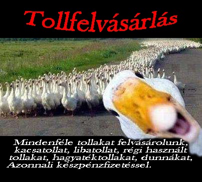 Tollfelvásárlás