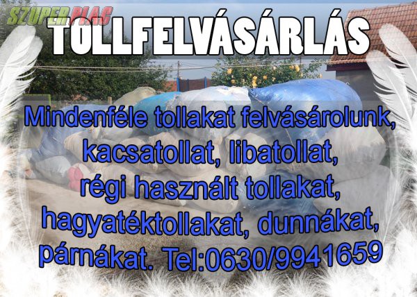 Tollfelvásárlás