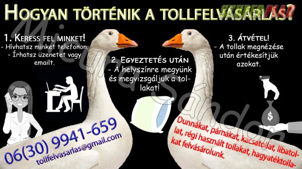 Tollfelvásárlás,  pehely,  toll,  kacsatoll,  párna,  libatoll, 