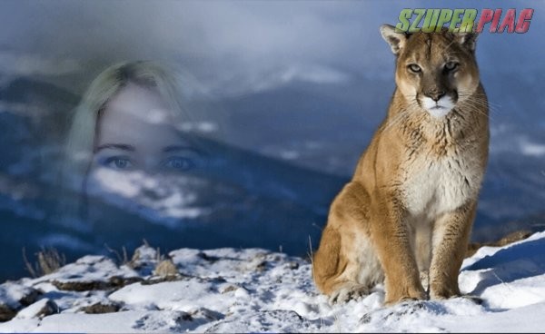 Kutyamasszázs terápia