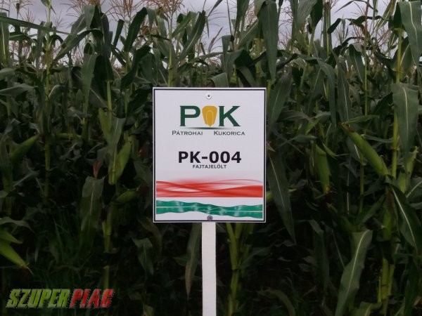 Pk-004 organikus kukorica előrendelési akció - a nemesítés 