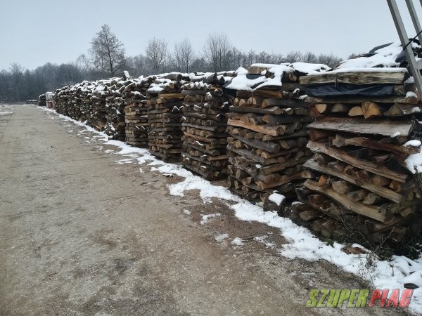 Tűzifa a Bakonyban