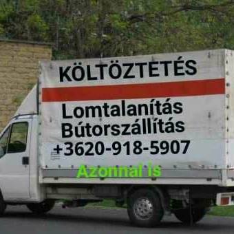 LOMTALANÍTÁS XVII-ker.XVIII.-ker.XIX.-ker.KÖLTÖZTETÉS AZONNAL