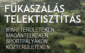 Fűkaszálás-Telektisztítás