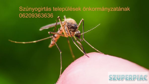 szúnyogirtás biológiai és meleg köddel Combi Kft 0629459090