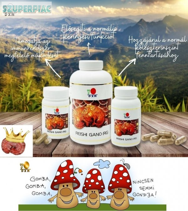 DXN Bio Ganoderma gomba