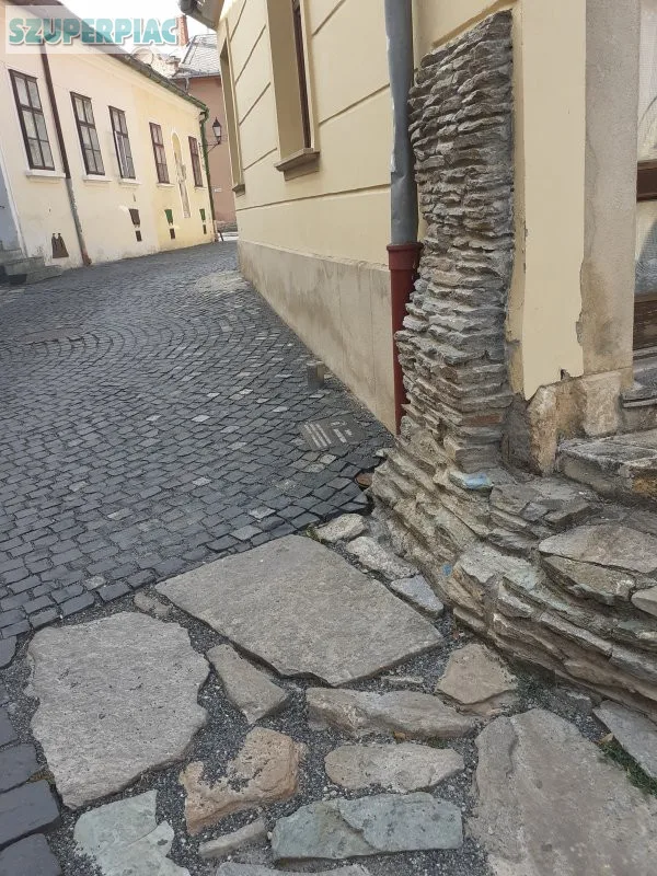 Osztrák Határnál orvosi rendelőnek Eü panziónak alkalmas társház
