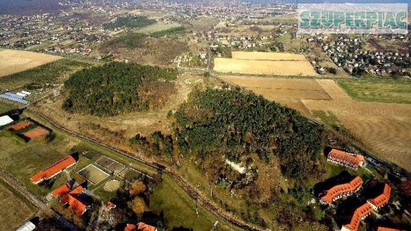 Különleges fejlesztési terület