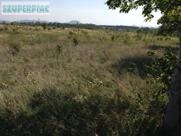 Tapolcán 53 5 hektáros belterületi fejlesztési terület eladó