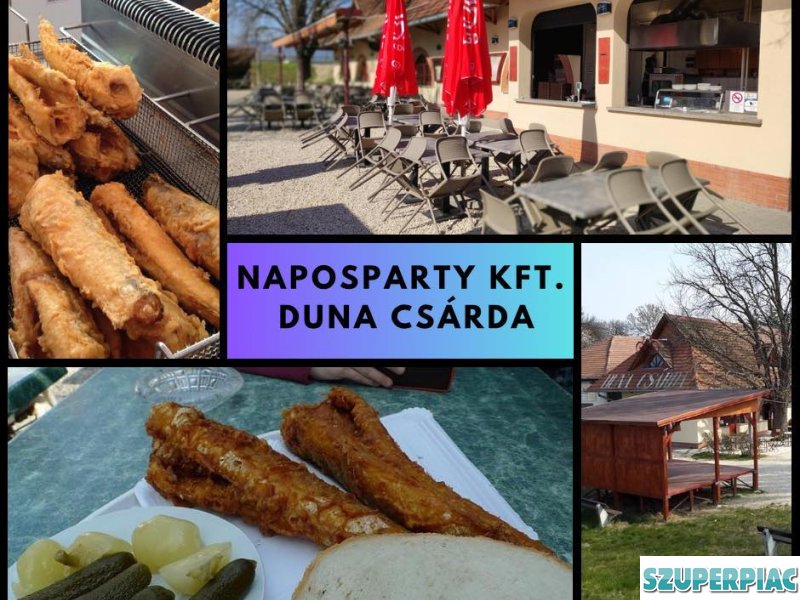 konyhaikisegítő pultos