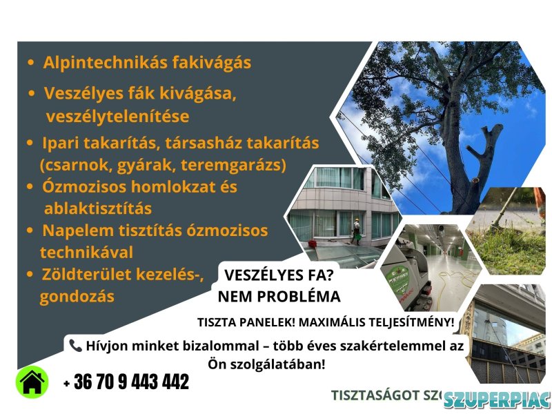 Ipari takarítás Alpintechnika Fakivágás