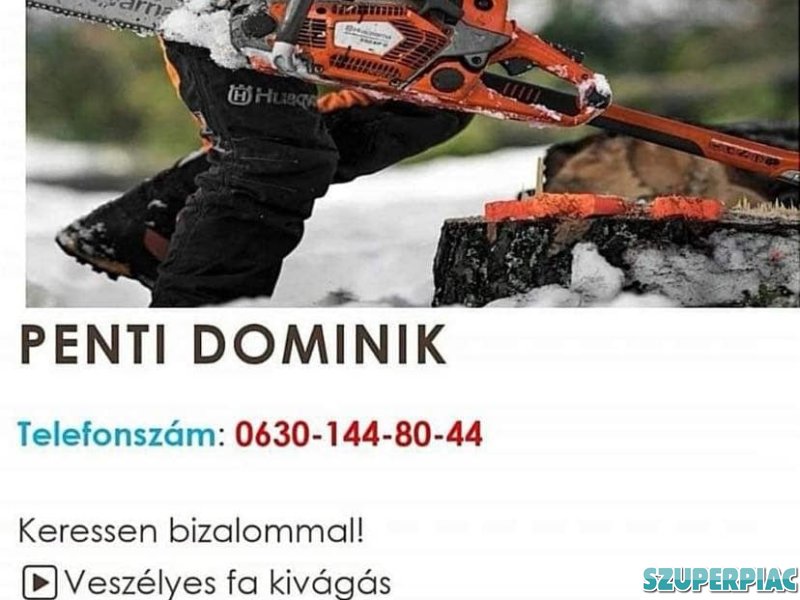 Válalok fűnyirástveszélyes fa kivágás tüzifadarabolásbózót irtás