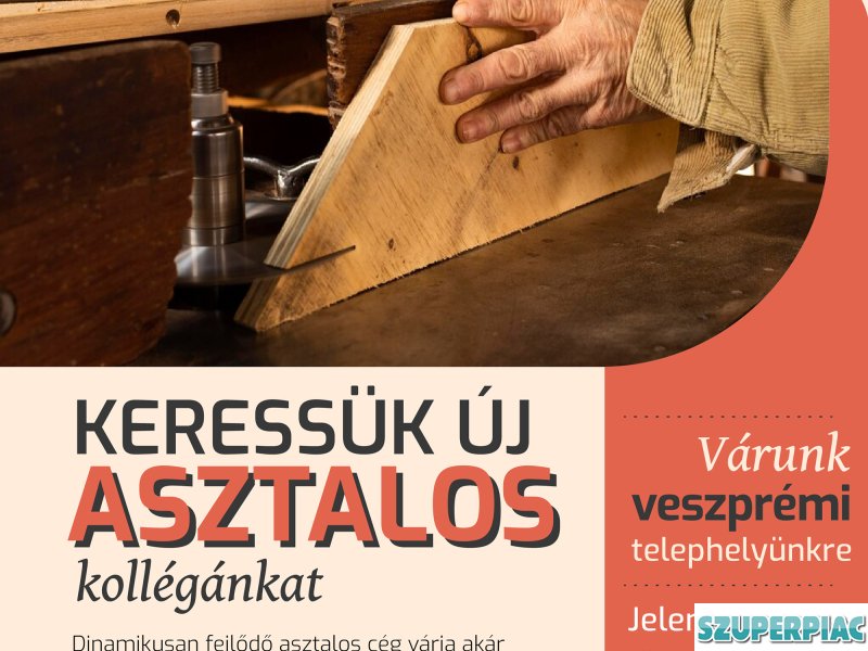 Asztalos pozícióra keressük új kollégánkat