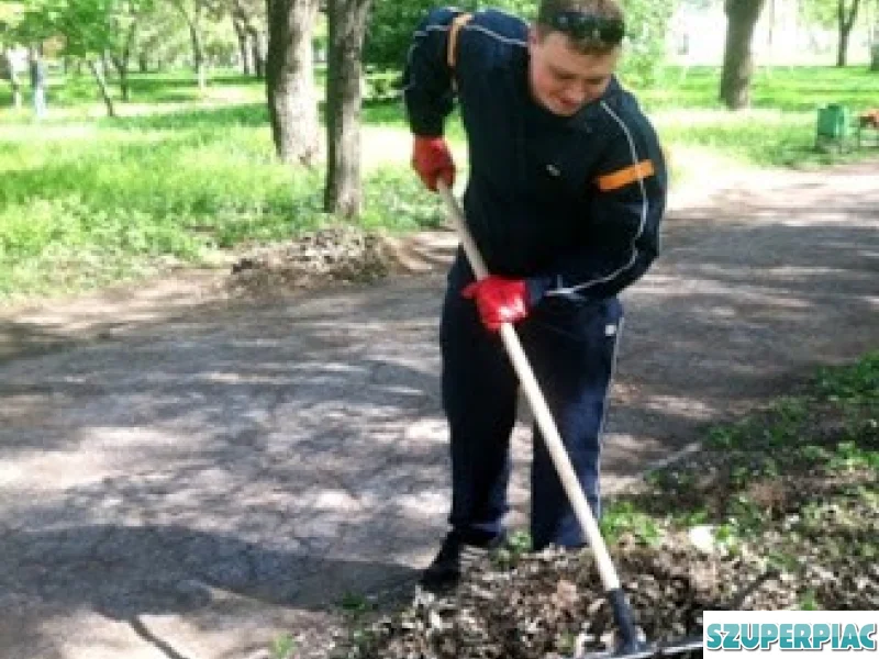 Könnyű fizikai munka megváltozott munkaképességű