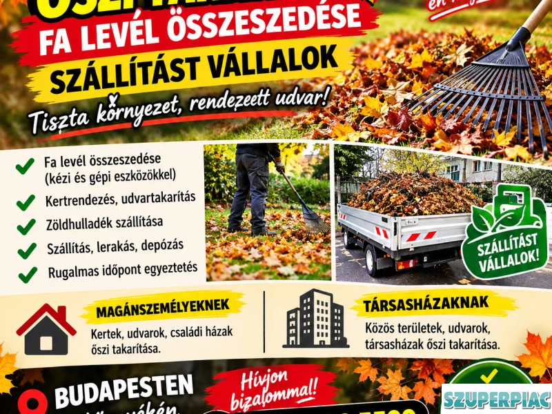 Őszi takarítás fa levél összeszedése