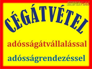 Cégátvétel cégeladás adósságátvállalással adósságrendezéssel