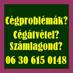 Cégátvétel? számlagond? számlagondját megoldjuk