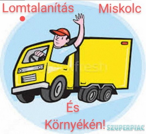 Lomtalanítás Borsod