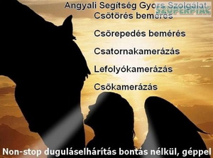 Duguláselhárítás Dabas
