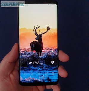 Samsung Galaxy S9+ 256/8 GB