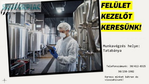 FELÜLET KEZELŐT KERESÜNK