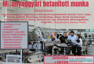 Betanított minőségellenőr,  ingyenes buszjárat