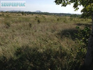 Tapolcán 53 5 hektáros belterületi fejlesztési terület eladó