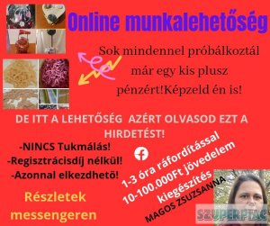 Online munkára munkatársakat keresek