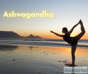 Ashwagandha a modern stressz ellen