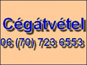 Cégátvétel tartozással Kft Bt átvétel Tel 06 70 723 6553