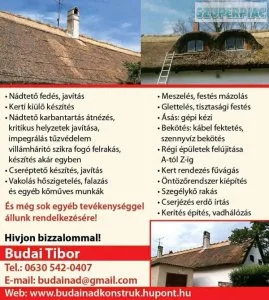 Budai Tibor