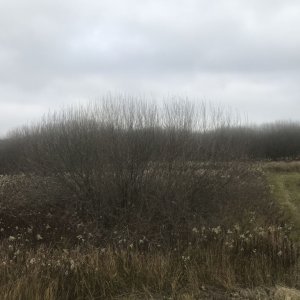 KisBalaton mellett eladó külterület