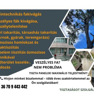 Ipari takarítás Alpintechnika Fakivágás