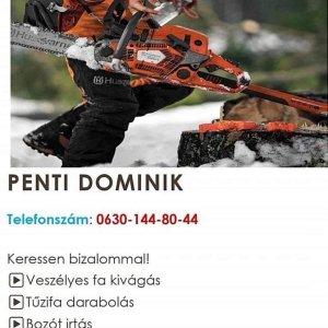 Válalok fűnyirástveszélyes fa kivágás tüzifadarabolásbózót irtás