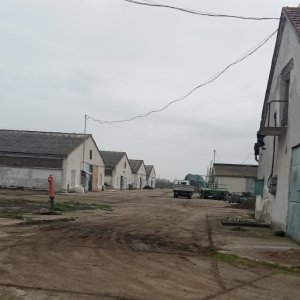 Telep kiadó