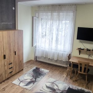 Kiadó frissen felújított 30mes garzonlakás az I kerület szívében