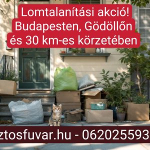 Nyárindító lomtalanítási akció