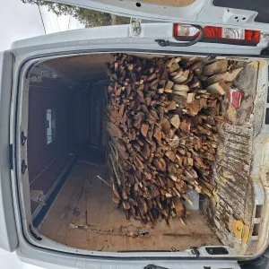 Lomtalanitás Hulladék szállítás