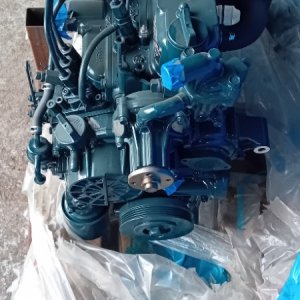 Kubota D1105 motor