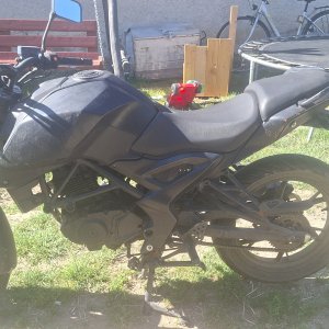 Motor