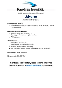 DunaDráva Projekt Udvaros munka