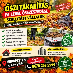 Őszi takarítás fa levél összeszedése