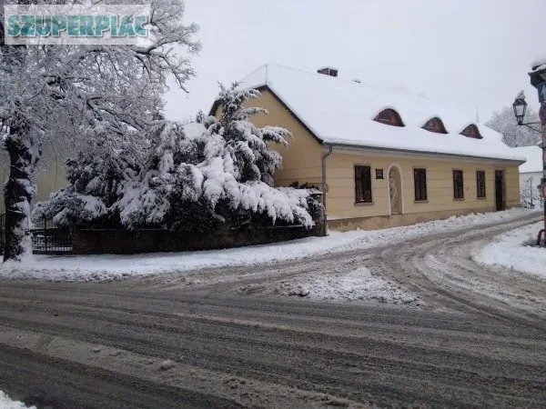 Osztrák Határnál orvosi rendelőnek Eü panziónak alkalmas társház