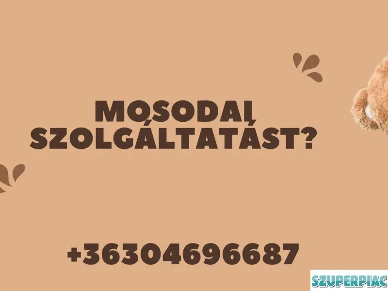 Mosodai szolgáltatás háztól házig