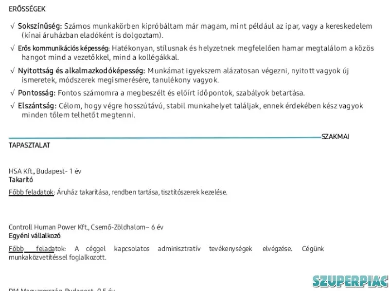 Munkt vállalok
