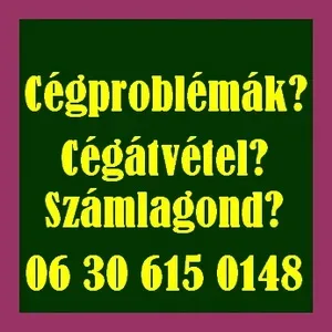 Cégátvétel? számlagond? számlagondját megoldjuk