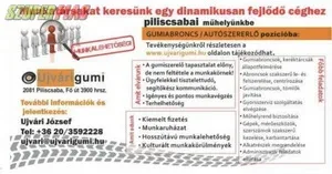 Gumiabroncs/autószerelő pozícióba munkatársat keresünk Gumiabroncs/autószerelő pozícióba munkatársat keresünk