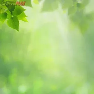 Pszichológiai tanácsadás,  terápia (encs,  szikszó,  miskolc)
