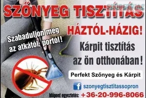 Szőnyeg kárpit tisztítás Szőnyeg kárpit tisztítás