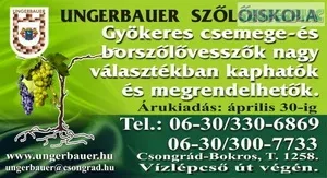 Gyökeres szőlővessző eladó Gyökeres szőlővessző eladó